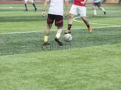 高桥蓝日本,排球界三角,恋情持续升,AG捕鱼王在线,AG捕鱼官网攻略,AG官网直营捕鱼,AG捕鱼王在线网址