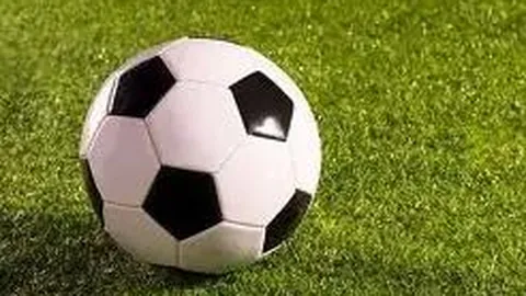 AG捕鱼官网攻略 资讯 095100 0ae