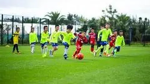 AG捕鱼官网攻略 资讯 094859 2rz