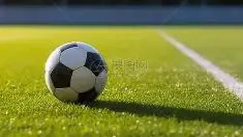 AG捕鱼官网攻略 资讯 090625 1tl