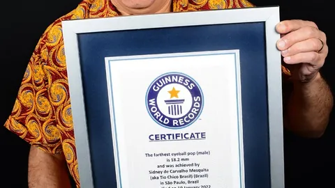 2025文化盛宴录｜同探中华文化之旅